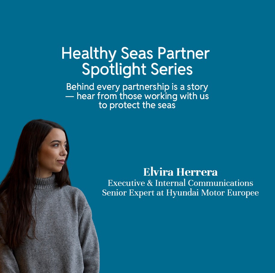 Healthy Seas Partner Spotlight Series